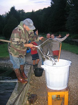 A la pisciculture des Millets