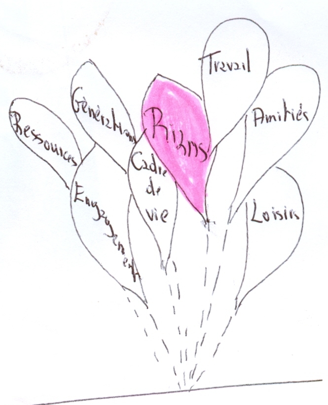 Proposition n�FR11